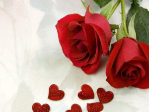 Roses-Love