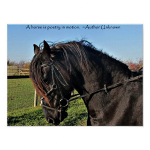 Black Friesian Horse famous horse quote poster