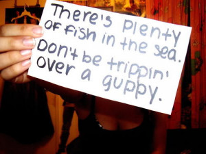 fish, guppy, photography, quotes, sayings, typography, words