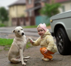 Super Cute Pictures of a Little Girl and Her Dog