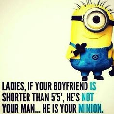 ... minions funnies things minions maniac funnies pics funnies quotes luv