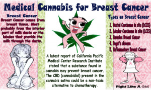 ... : Evidence Shows Cannabinoid Therapy Reduces Breast Cancer Tumors