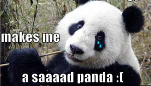 ... panda update to its search algorithm in a nutshell panda was intended