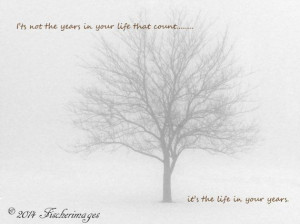 Black & White Lone Tree in Winter Fog with Inspirational Quote Wall ...