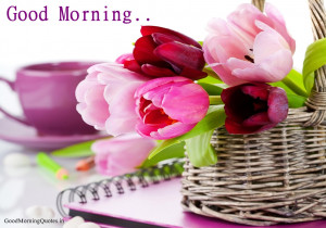 Lovely Tulips Good Morning HD Wallpaper Beloved