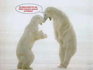 Polar Bear Quotes