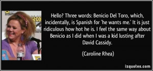 ... as I did when I was a kid lusting after David Cassidy. - Caroline Rhea