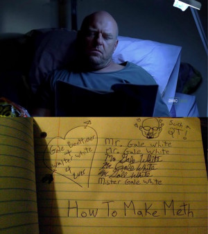 breaking bad hank schrader let's see how THIS goes namesake gale ...