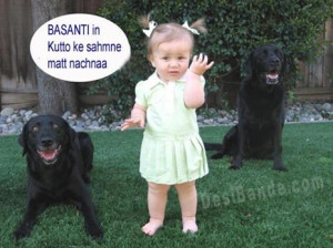 funny punjabi quotes in english