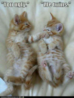 Funny Pictures – 38 Pics