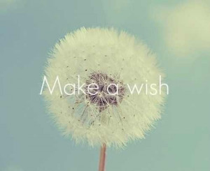 ... wishes when I was little because now my yard is full of dandelions