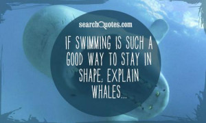 ... to stay in shape explain whales 168 up 23 down unknown quotes funny