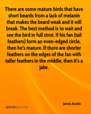 quotes about seagulls