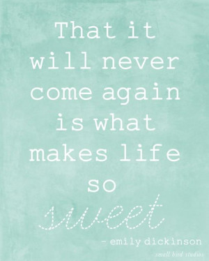 You are here: Home › Quotes › emily dickinson quote