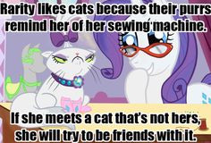 mlp headcanons more mlp fim crazy cats mlp hedcannon mlp headcanon cat ...