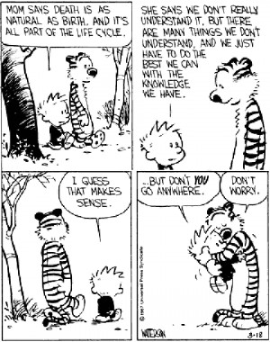 New Year: Calvin & Hobbes: Death: Knowledge