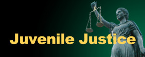 ... “ Juvenile Justice System ” and “ Criminal Justice System