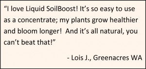 Liquid SoilBoost Quart Quote
