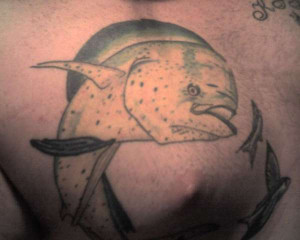 You need to enable Javascript.