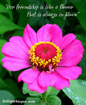 ... Friendship Is Like a Flower That Is Always In Bloom” ~ Flowers Quote