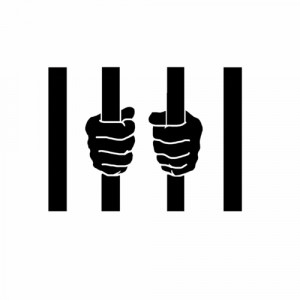 Follow New Jim Crow Quotes