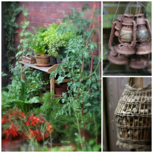 The Mini Family Vegetable Garden