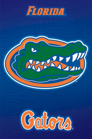 Related Pictures florida gators ncaa college uf accessories jewelry ...
