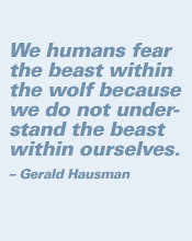 wolves wolves information wolf dogs research wolf expeditions model ...