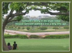 They Kill Good Trees To Put Out Bad Newapapers