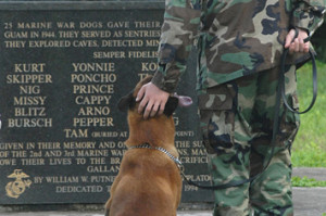 ... quotes dog rescue quotes and verses quotes about dogs being friends