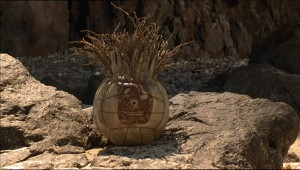 Wilsonn from Castaway