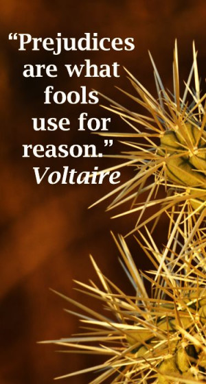 Prejudices are what fools use for reason.” Voltaire – On image of ...