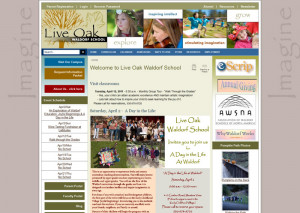 Educational Website Design - Live Oak Waldorf School