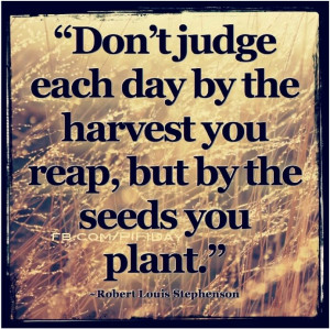 Plant good seeds