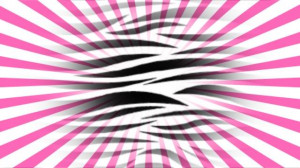 Zebra Stripes Texture For