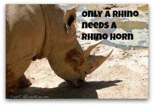 Only a rhino needs a rhino horn. Save the rhinoceroses. DearKidLoveMom ...