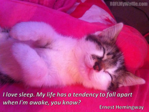 ... Fall Apart When I’m Awake, You Know. - Ernest Hemingway ~ Cat Quotes