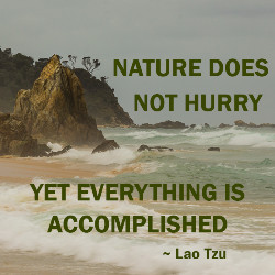 250×250-quotes-nature-does-not-hurry