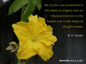 ... cow in the shape of the girl-widow. - Mahatma Gandhi, Mahatma, vol. 2