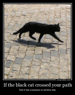 Demotivators | If the black cat crossed your path