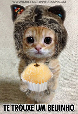 Imagem para Whatsapp – Engraçadas – Trouxe um beijinho