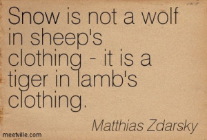 Not A Wolf In Sheep’s Clothing- It Is A Tiger In Lamb’s Clothing ...