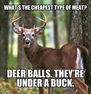 Funny Deer Hunting Quotes