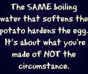 The Same Boiling Water * Your Daily Brain Vitamin v2.4.15