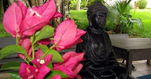 Sangha Budismo Zen Despertar Hana Matsuri Festa Das Flores
