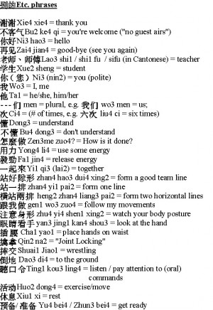 Basics of the Mandarin Dialect of the Chinese Language