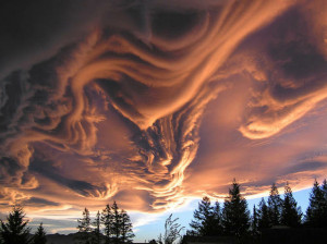 天空の神秘、驚きの形状をした雲の写真15種類