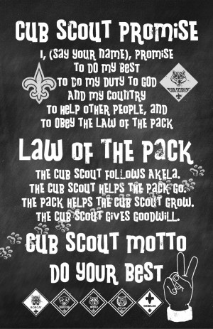 Cub Scout Promise, Law, and Motto