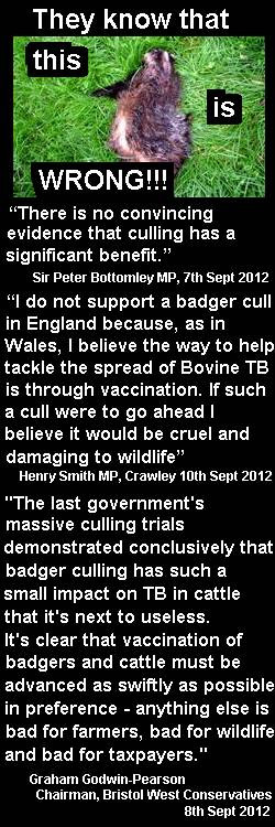quote01-06-2013-badger cull