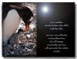 Love Quotes – As a mother protects her only child with her life, we ...